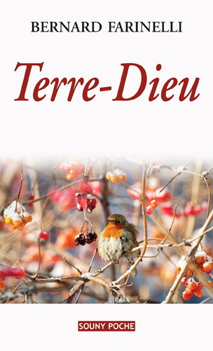 Couverture de Terre-Dieu