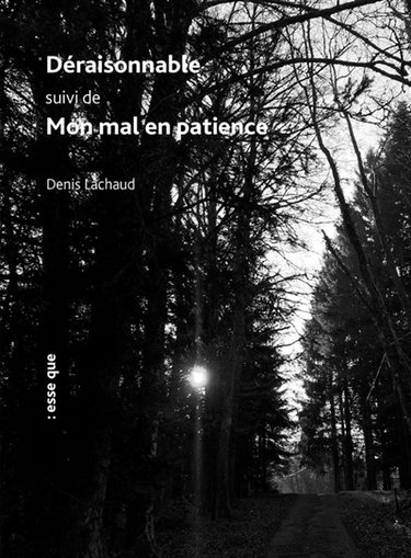 Couverture de Déraisonnable. Mon mal en patience