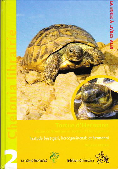 Tortue d'Hermann. Tortue de Boettger et tortue d'Herzégovine