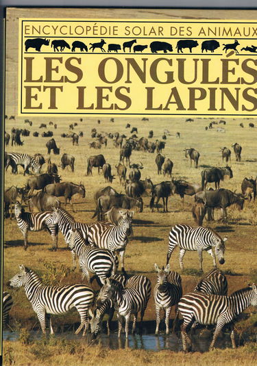 Les Ongulés et les lapins