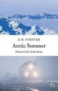 Couverture de Arctic Summer