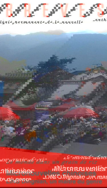 Brèves N°117 - Micronouvelles chinoises - Janvier 2021