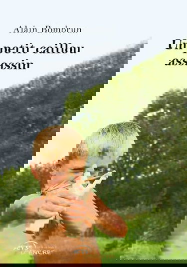 Un petit caillou assassin