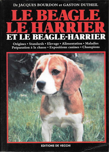 Le beagle - le harrier