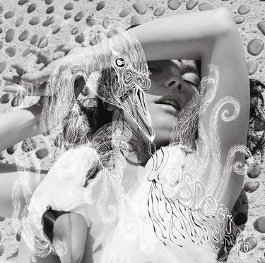 Couverture de Vespertine
