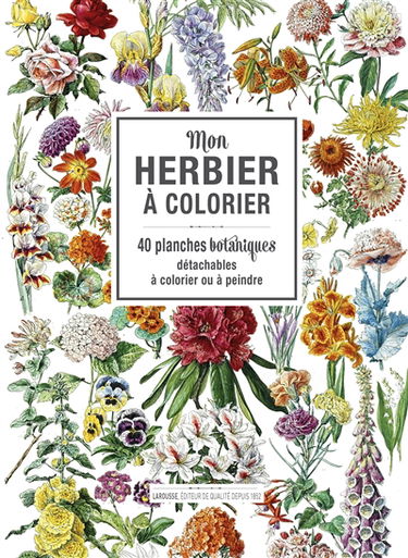 Mon herbier à colorier : 50 planches botaniques détachables à colorier ou à peindre