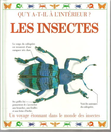 Les insectes