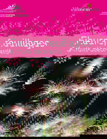 Fleurs et feuillages : annuelles et bisannuelles, bulbes et vivaces