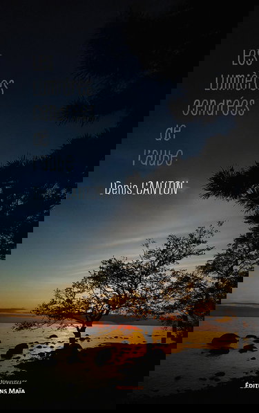 Les Lumières cendrées de l'aube