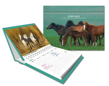Chevaux : agenda calendrier 2014