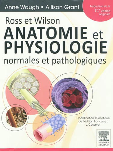 Anatomie et physiologie normales et pathologiques