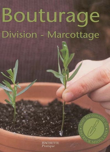 Bouturage, division, marcottage