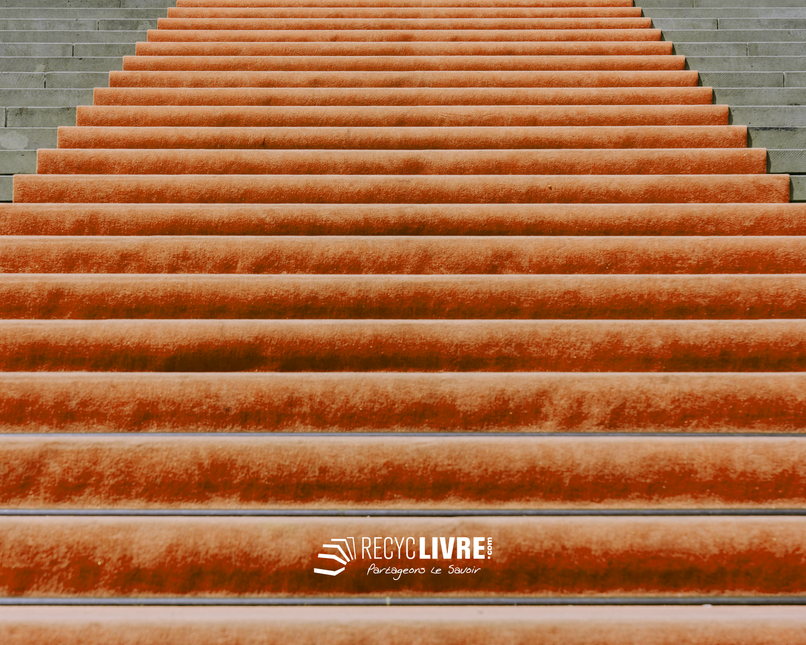 orange-carpet-canne-scaled