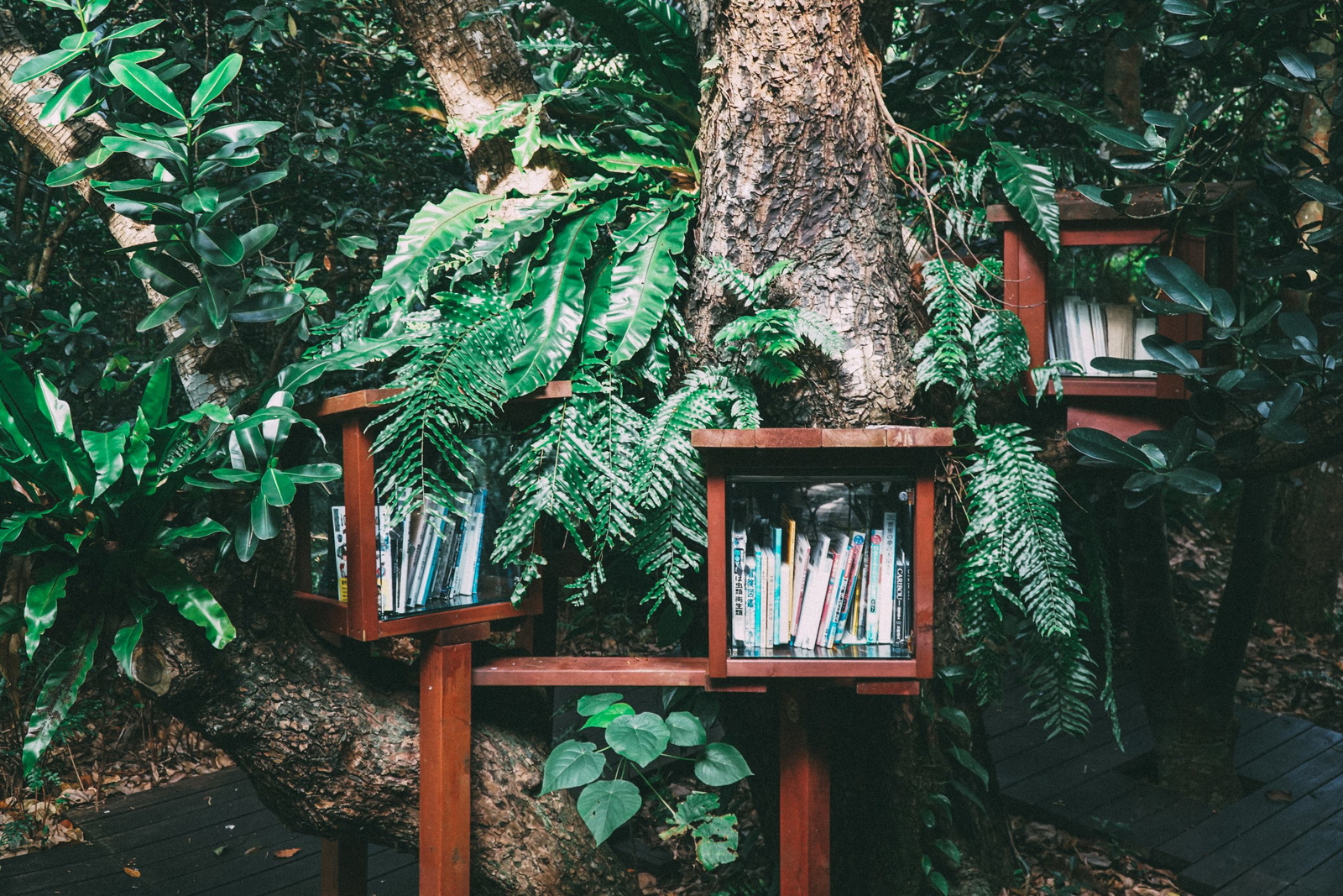 hitoshi-suzuki-1COcTd3pRCg-unsplash-scaled