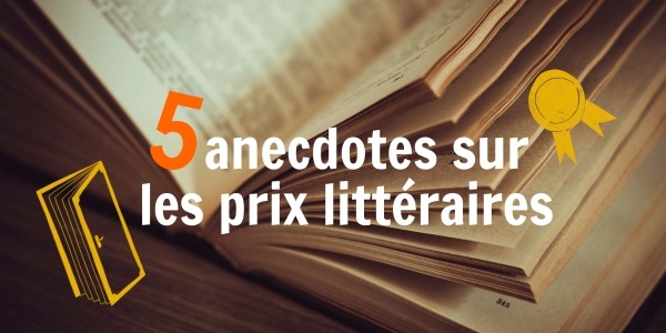 NL_11.2024_anecdotes_600x300px