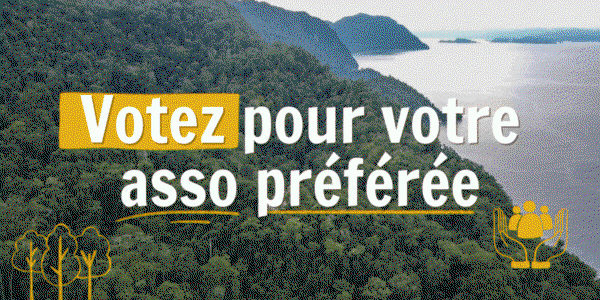 Newsletter-600x30034-1