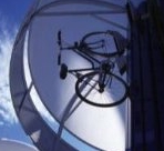 bike-tree1