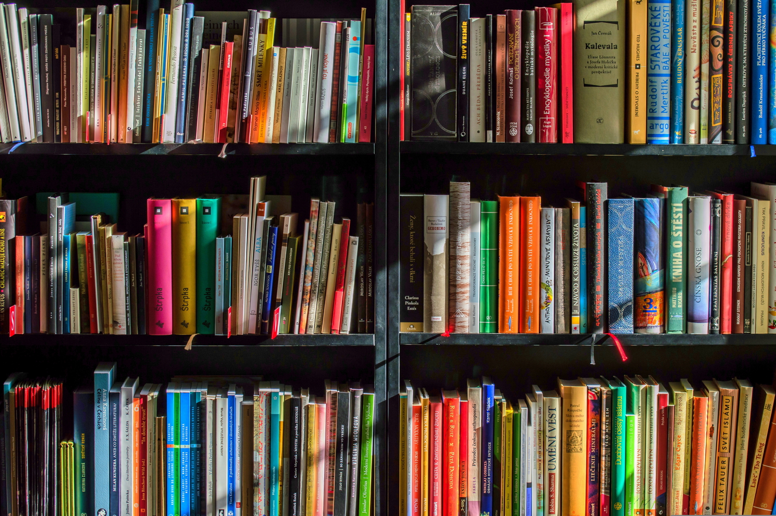 Bibliothèque livres professionnels